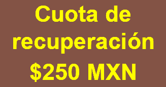 Cuota de recuperación $250 MXN 