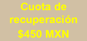 Cuota de recuperación $450 MXN 