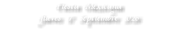 Fiesta Mexicana Jueves 17 Septiembre 2026